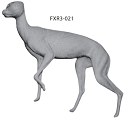 FXR3-021